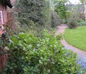 Bed Breakfast Eext tuin 2