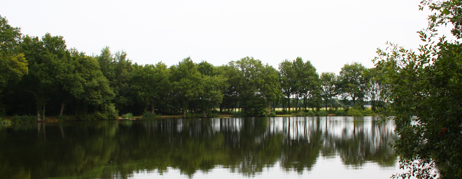 Natuur Eext